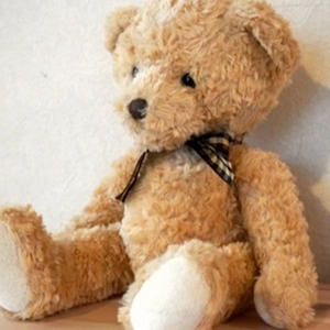 宅配ぬいぐるみクリーニング3点パック