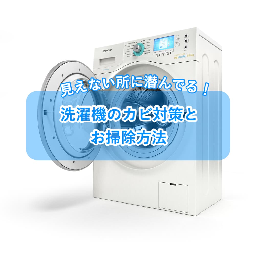 見えない所に潜んでいる洗濯機のカビ。そのカビ対策とお掃除方法 カジタク(イオングループ) 洗濯機用バイオアイボール ネオ 掃除 洗濯 ニッセン nissen