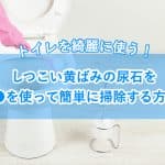 トイレのしつこい黄ばみの尿石には、○○を使ったお掃除が効果的！