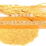 掃除で大活躍！”米ぬか”の活用方法と成分とは？