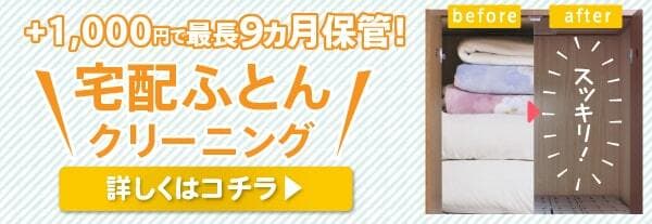 保存版 布団にカビが生えてたら カビの取り方と予防法 お役立ちコラム 家事の宅配 カジタク イオングループ 保存版 布団にカビが生えてたら カビの取り方と予防法 お役立ちコラム 家事の宅配 カジタク イオングループ
