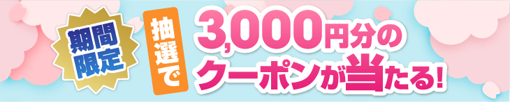 抽選で豪華賞品が当たる！