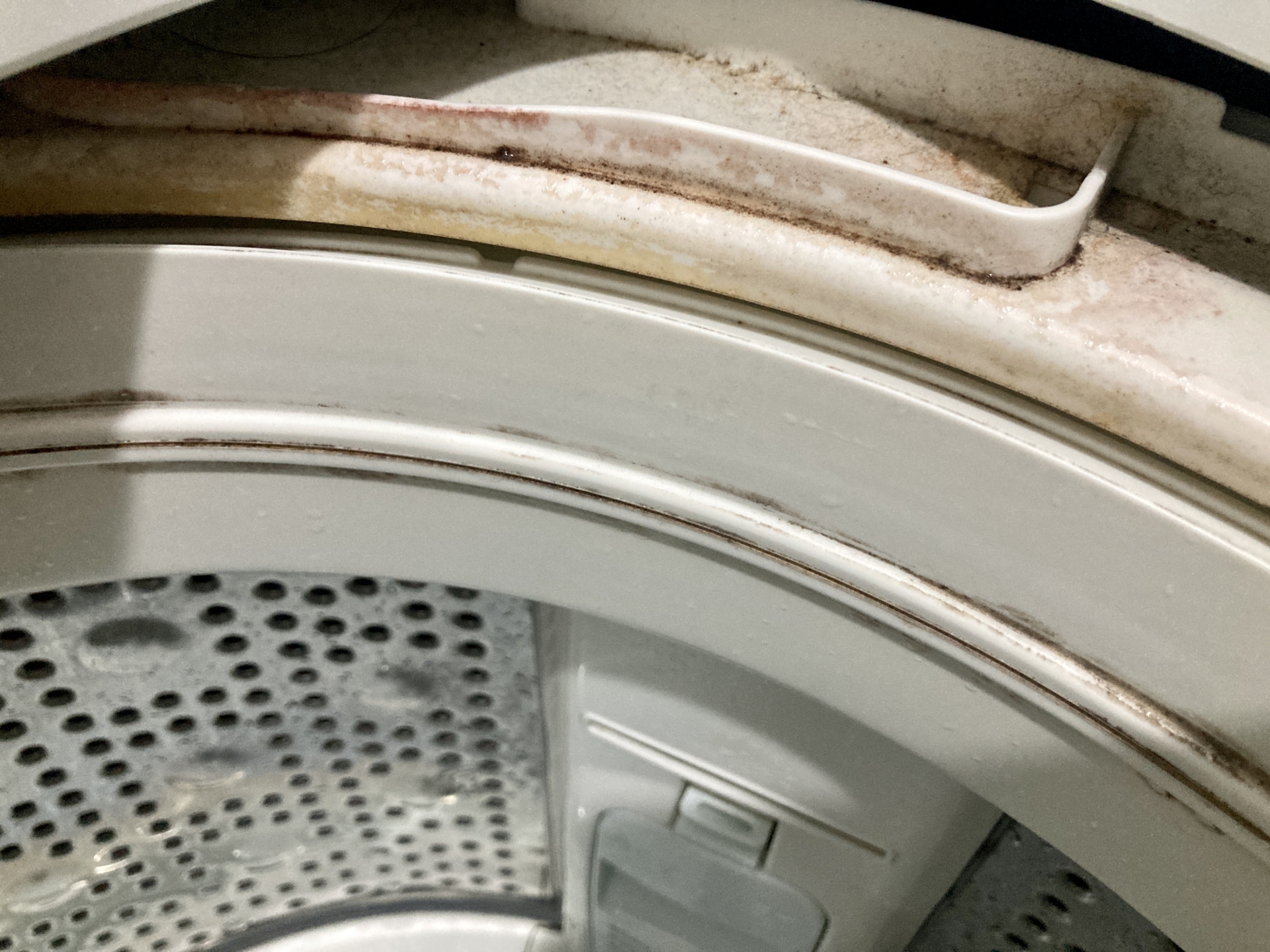 洗濯機全体(表面)