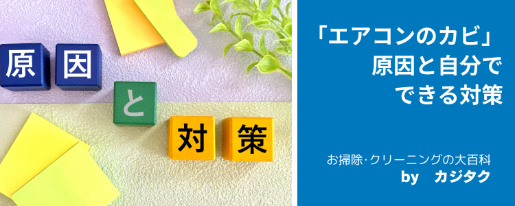「エアコンのカビ」の原因と自分でできる対策|予防のポイントも具体的に解説