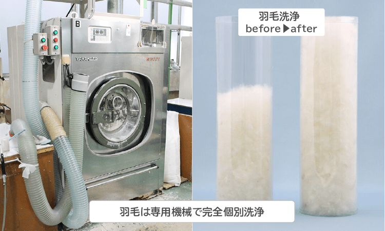 羽毛を専用機器で個別にクリーニング