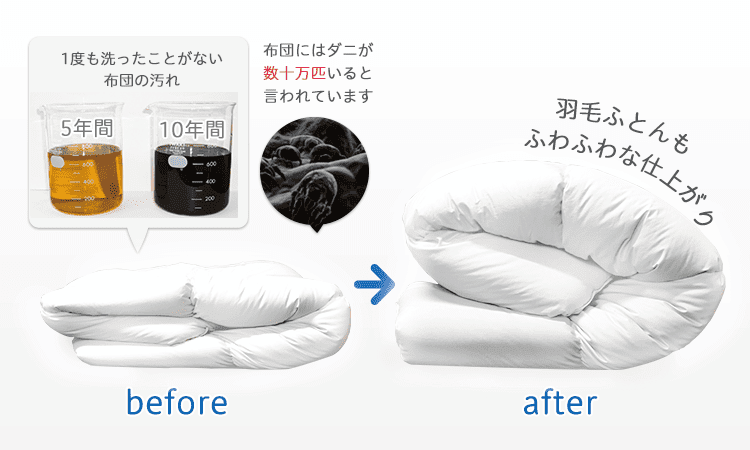 ふとんクリーニング前後比較