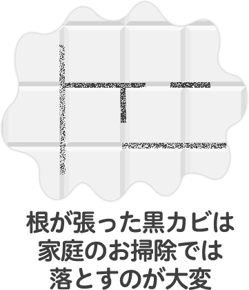 根が張った黒カビは家庭のお掃除では落とすのが大変