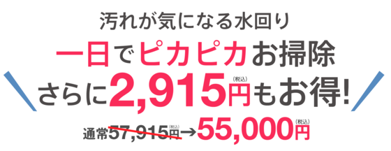 汚れが気になる水回り掃除まとめて一日でピカピカお掃除さらに2,915円もお得！通常52,915円→50,000円（税抜）