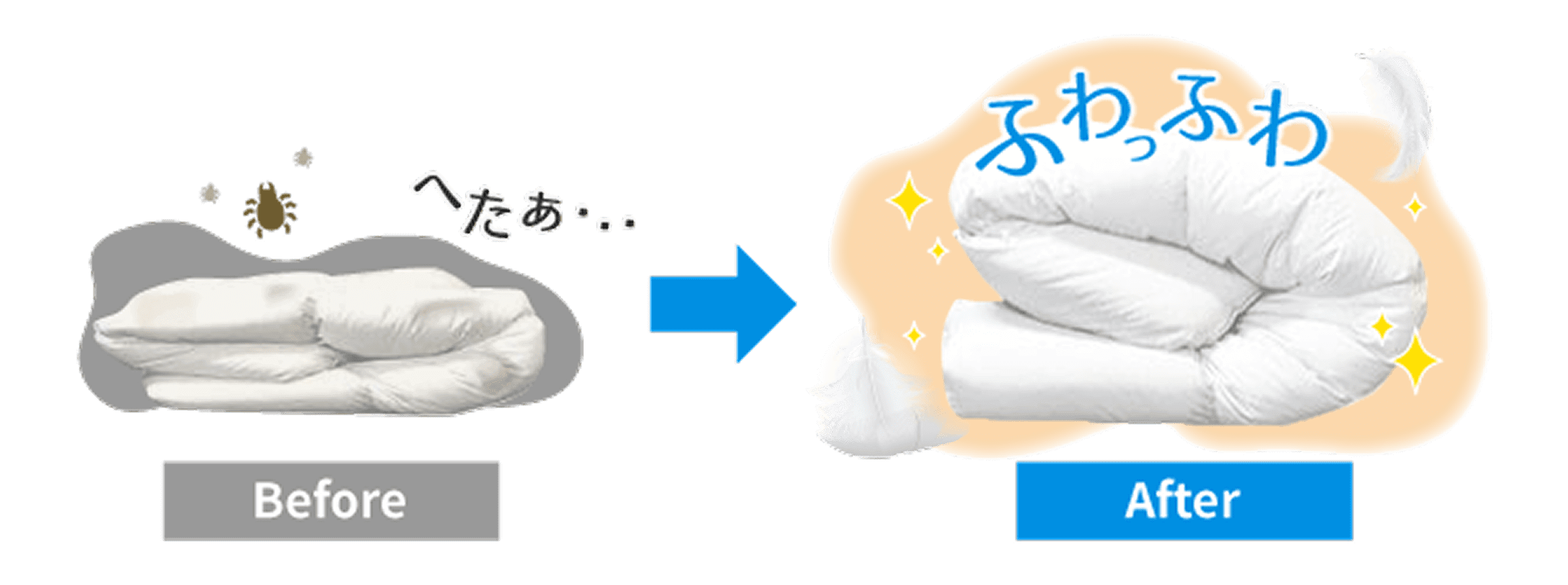 お布団丸洗いで、すっきり、さっぱり、ふっわふわ!