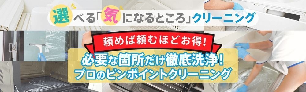 選べる「気になるところ」クリーニング