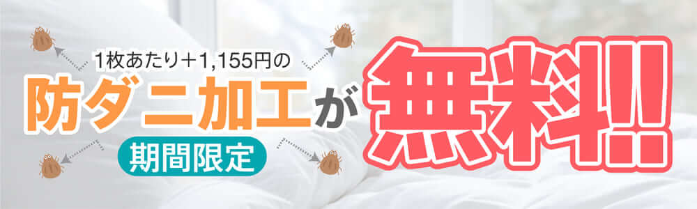 期間限定　防ダニ加工が無料！！