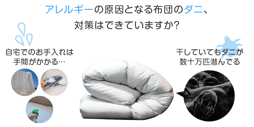 アレルギーの原因となる布団のダニ、対策はできていますか?