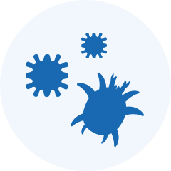 保管中のカビや虫食いが心配